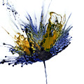 Abstract Flower Navy Blue Yellow 1