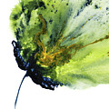 Abstract Flower Green Yellow Navy 1
